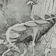 Illustration for article titled In the 1920s, Stegosaurus had the ability to fly like a hang glider